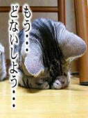 ぽんぽんずさんの画像1