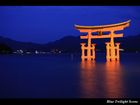でぶやさんの画像1