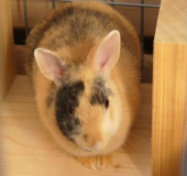 リヒトさんの画像1