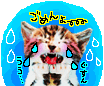 しゅがーさんの画像1