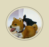 きゃらめるちょこさんの画像2