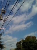 Bear Bearさんの画像1