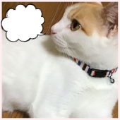 です。です。さんの画像1