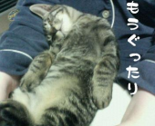 rikuvvさんの画像1