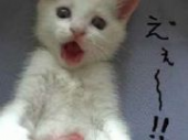 raysさんの画像1