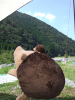 もぐお