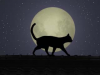 黒猫ジジ
