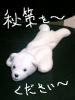 ちのちの