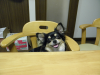 ぽむこ