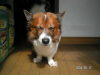 dony