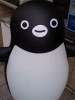 itomasa7