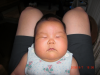 すっぽこ