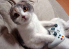 のんびりいこうよ