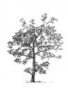 natureon