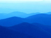 yohizawa.k