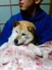 ビエンテ