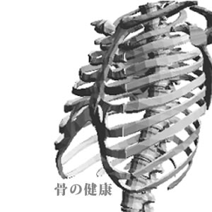 骨の健康度チェックイメージ